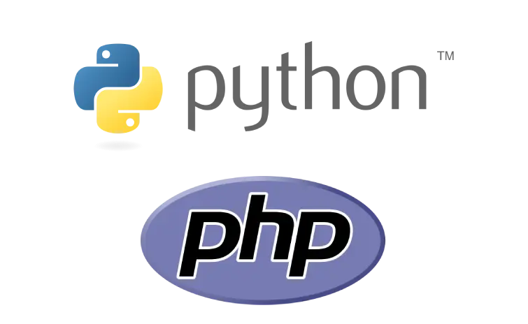 Разработка самописного интернет-магазина Python или PHP